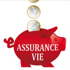 Assurance vie : pour tout comprendre